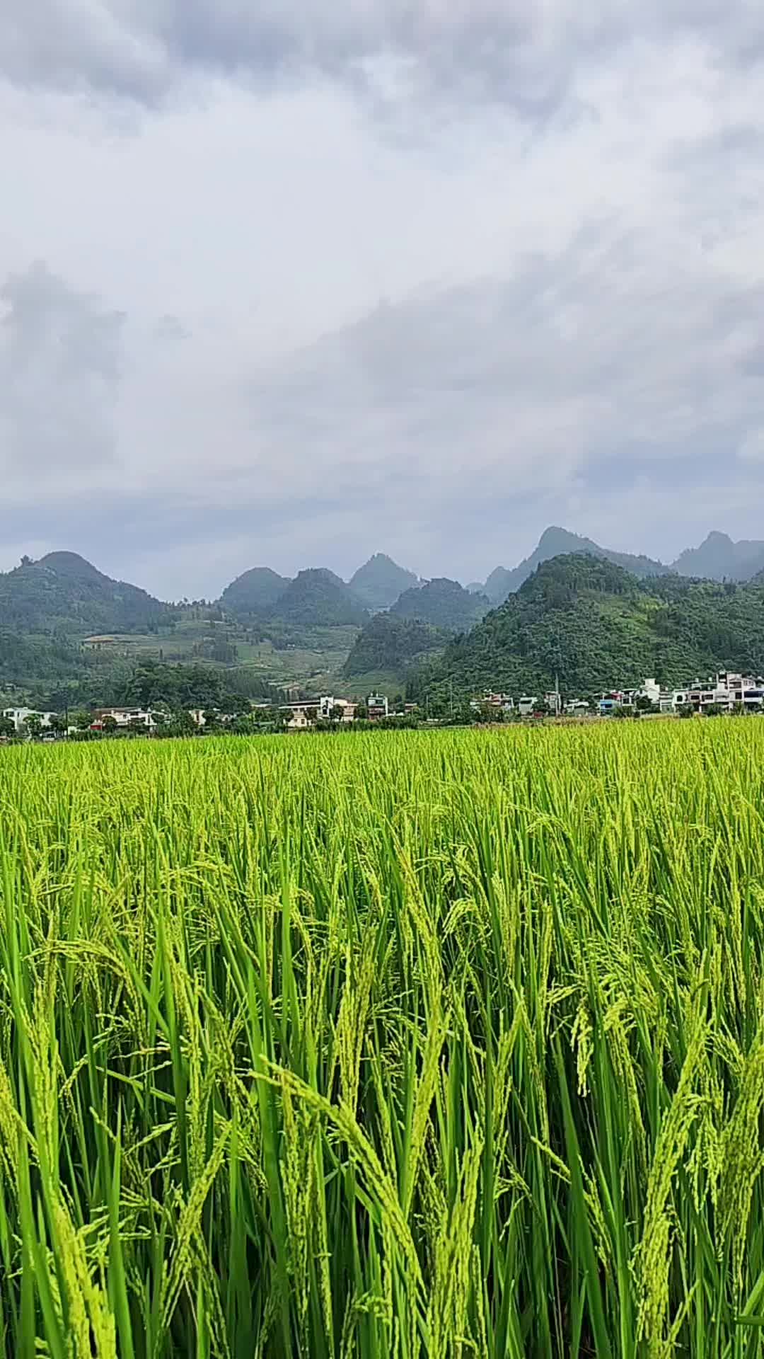 我不靠你养活，不靠你支撑情绪，也不靠你解决经济问题，那你的存在对我来说...