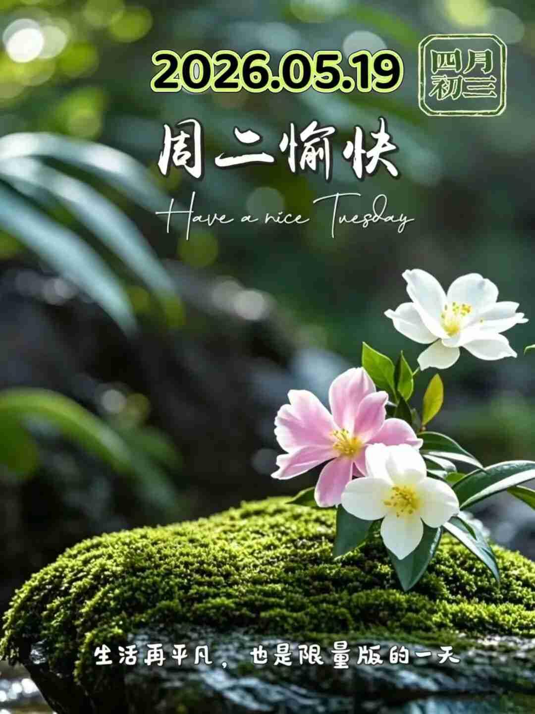 我的今日状态：💰期待暴富
我这里的天气：🌤️多云