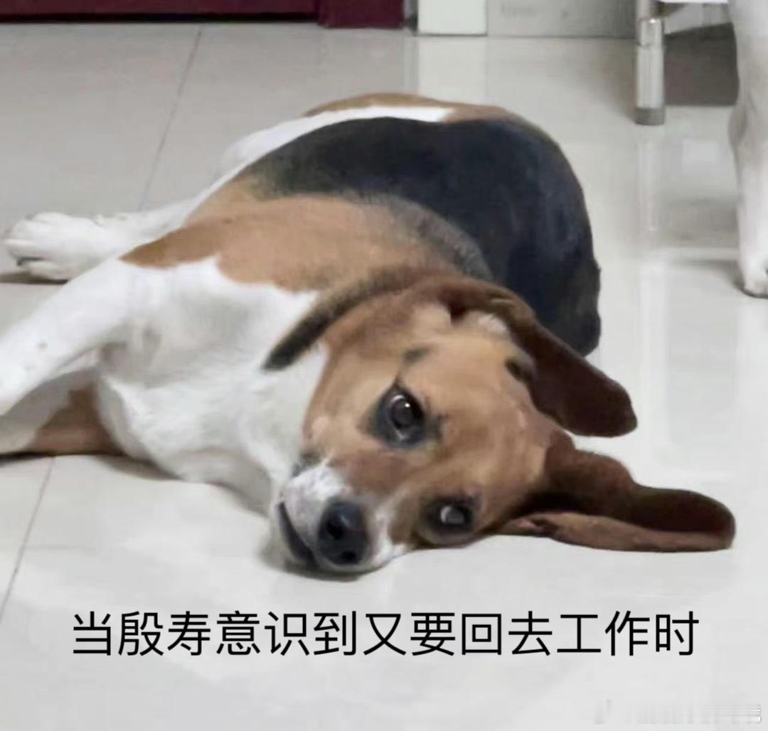 九图看完封神第二部  观看《封神第二部》后，你会感受到前所未有的震撼！剧情紧凑，