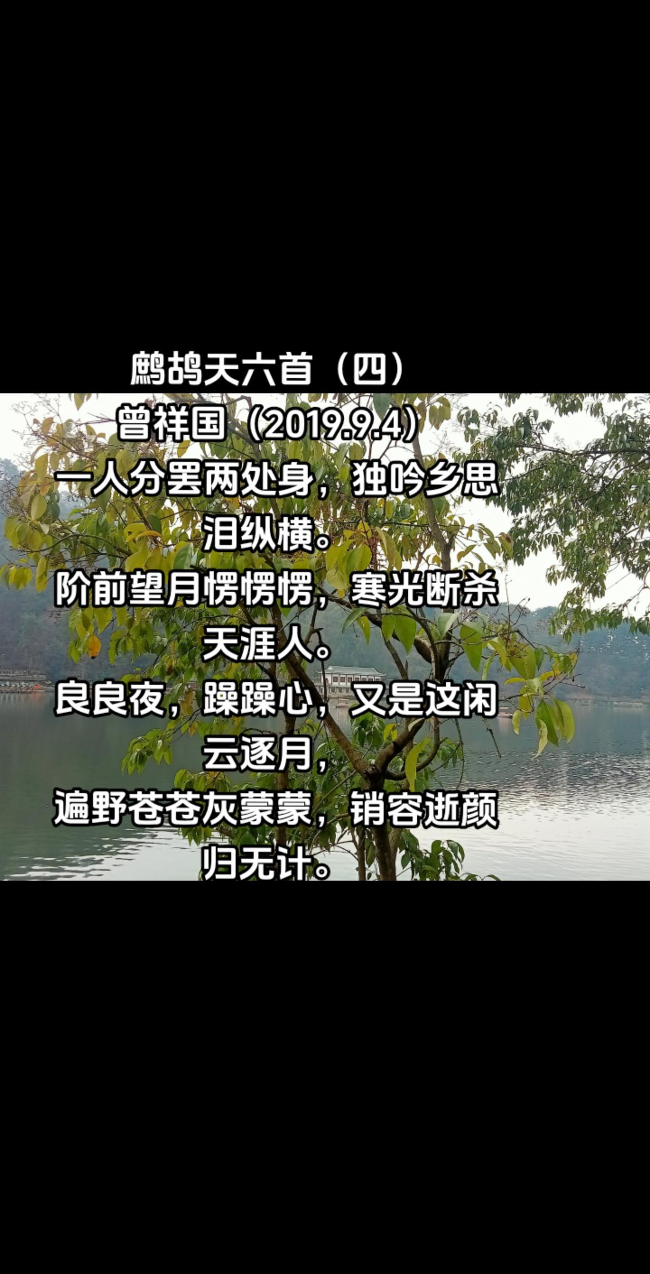 鹧鸪天六首（四）
