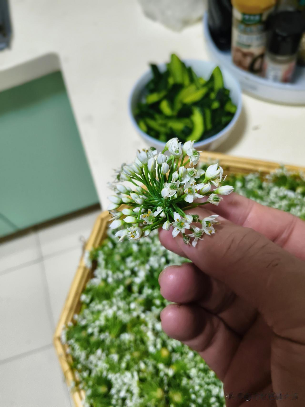自己吃，就要好的！
她说，这韭菜花蘸羊肉，好吃！
得！五块钱的韭菜花，引来四十块