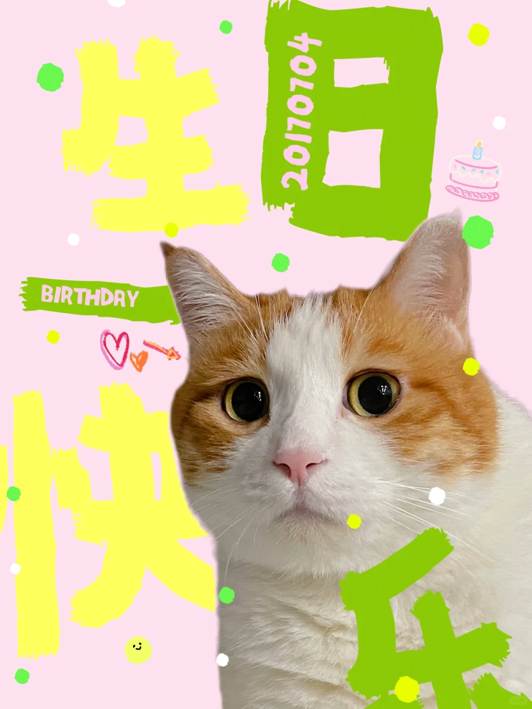 火火崽七岁生日快乐🎊
