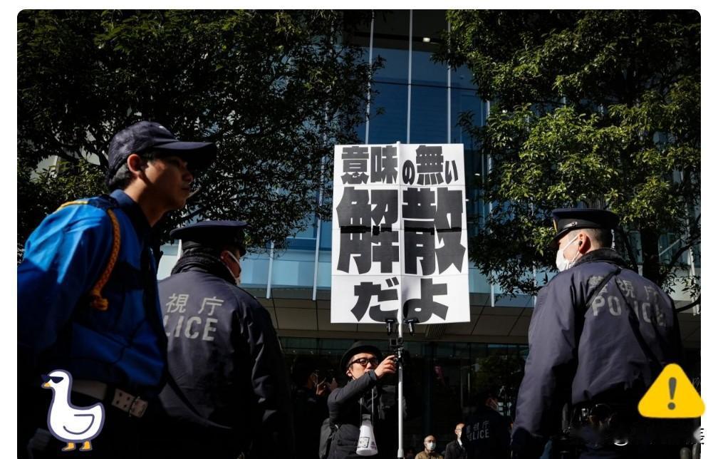 日本执政党表示

据俄罗斯卫星社网站1月31日报道，日本执政党自民党政务调查会长
