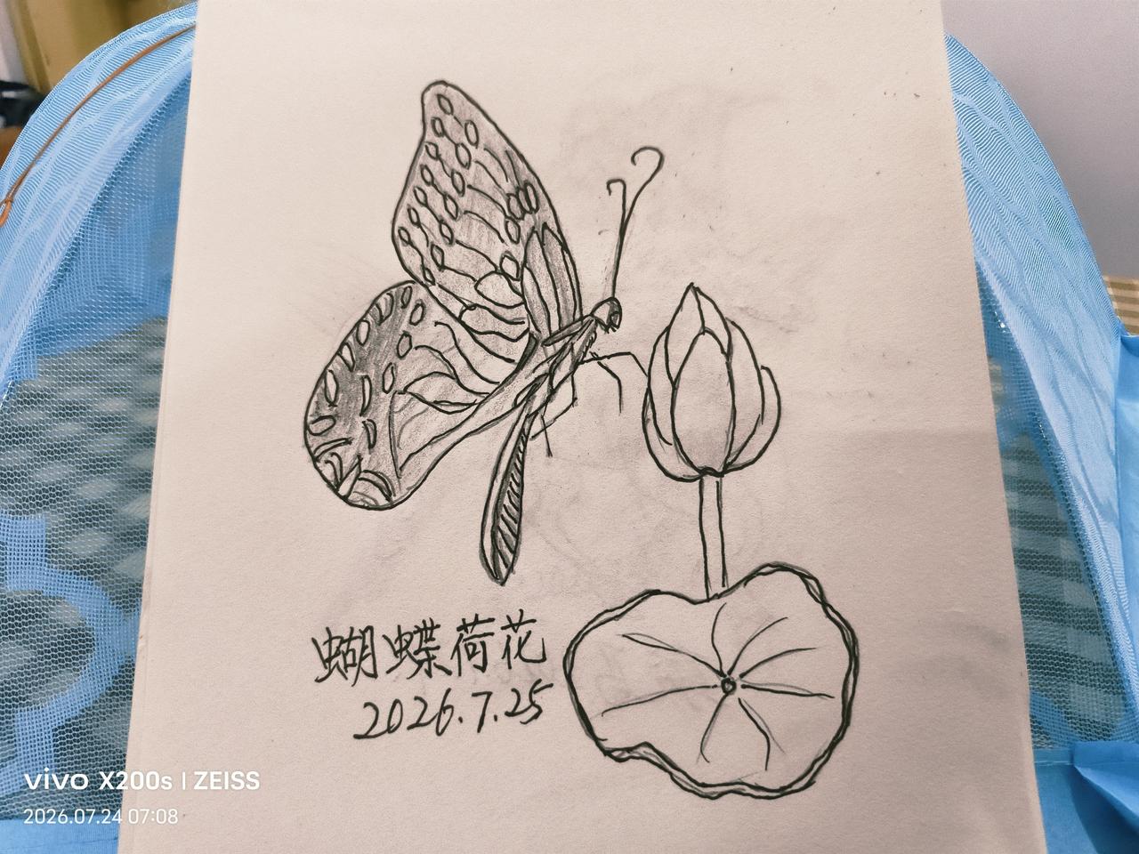 随手拍蝴蝶在花丛中采蜜闲人爱动在家用铅笔完成，手机拍摄似国画非国画图片。