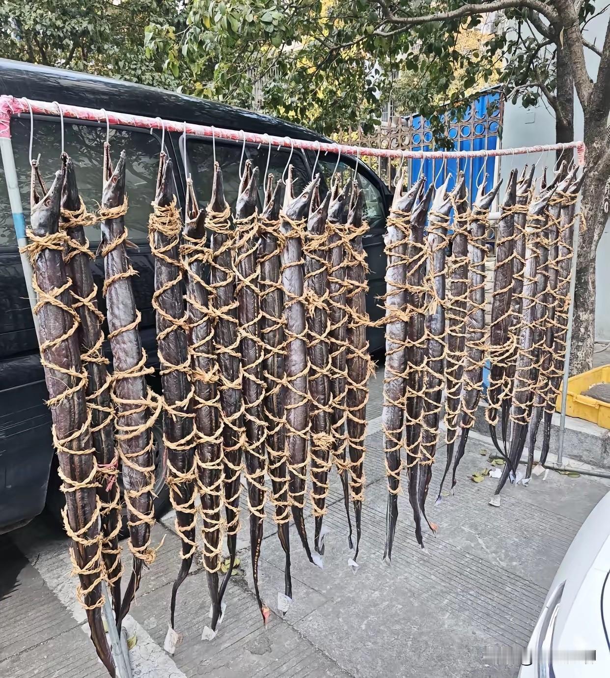 鱼的内心独白：我是犯了天条了吗？这样对我，下辈子不当鱼了！