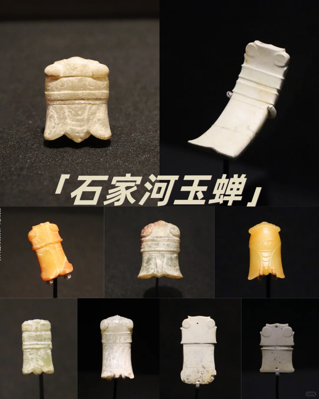 玉蝉——石家河文化最典型器物
