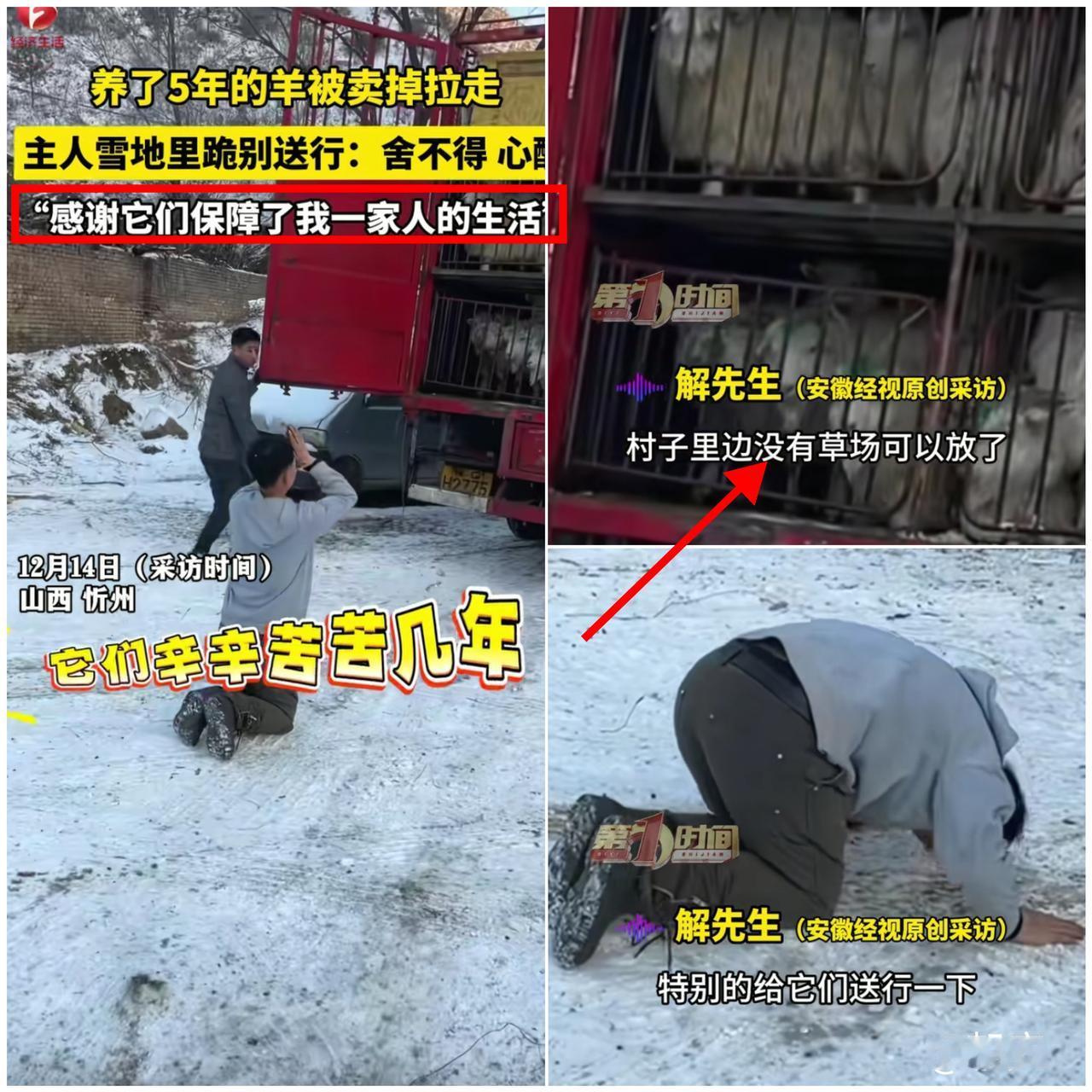 雪地里那跪下去的身影，从来不是软弱，而是普通人藏在生计里最真的温柔。

忻州大哥