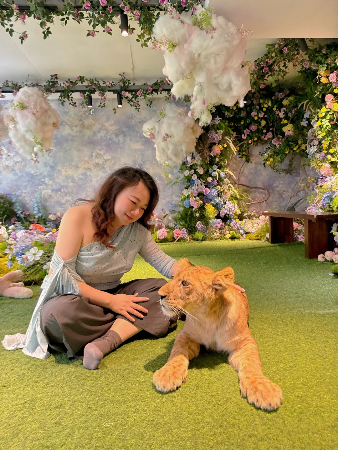 曼谷小狮子太可爱了！