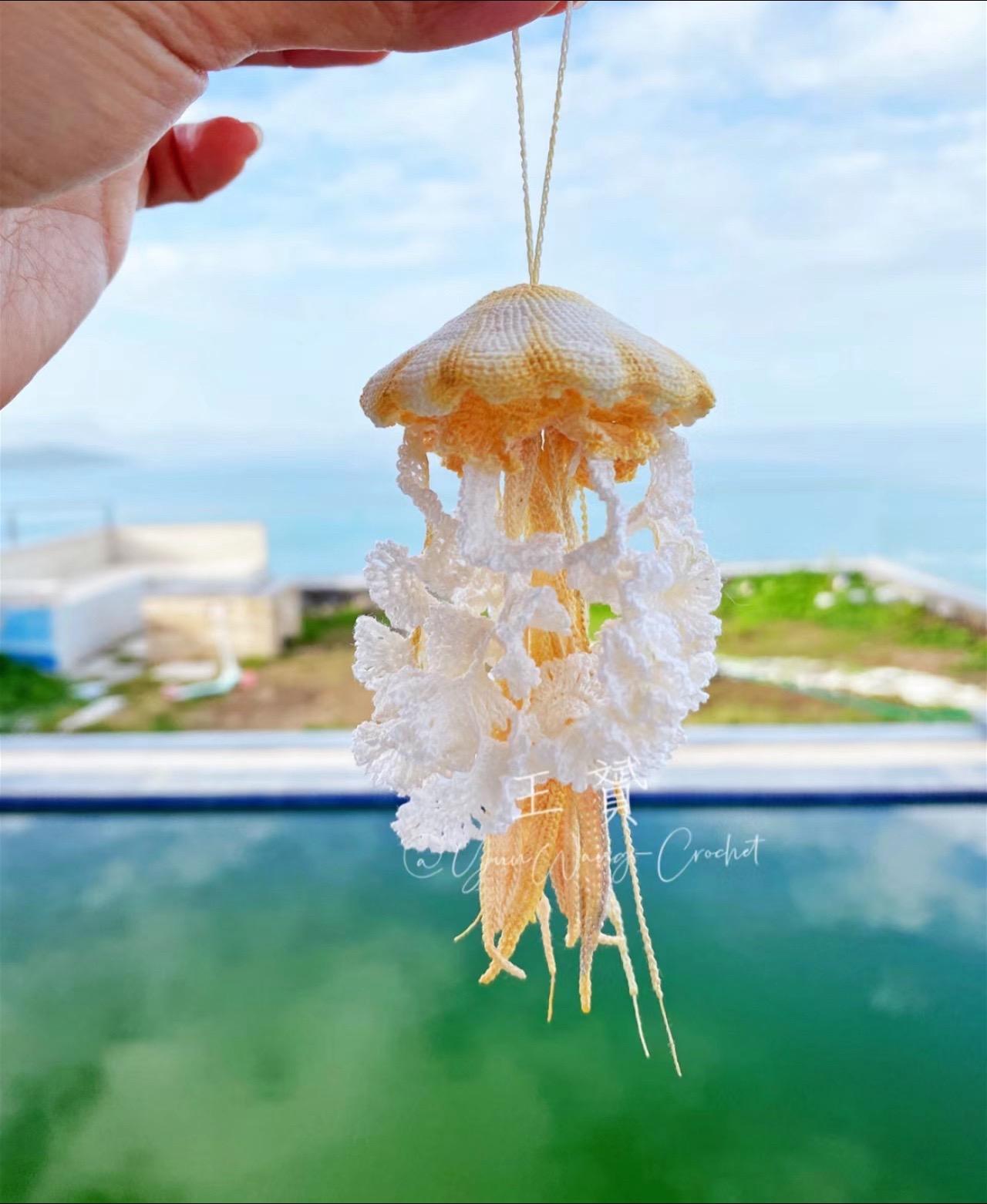给大家欣赏一下@王斌 大神的微钩水母，这如梦如幻的水母，大家就别蹲图解了，看了这