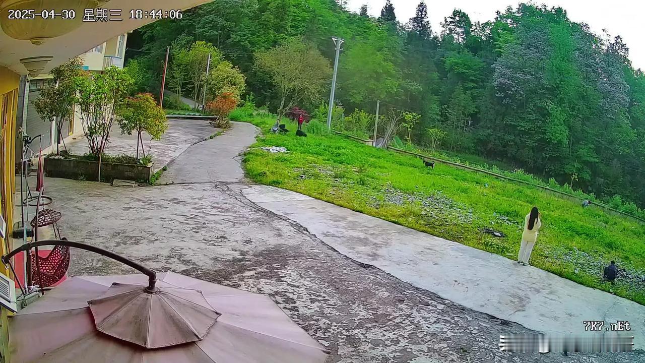 你相册里最近一次的植物的照片
