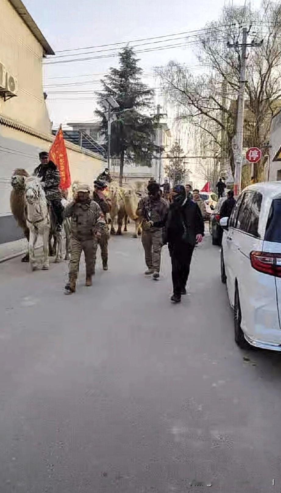 快闪途经丝绸之路的起点，
让人不得不怀疑东山驼队的所谓丝路行。
东山驼队打着重走