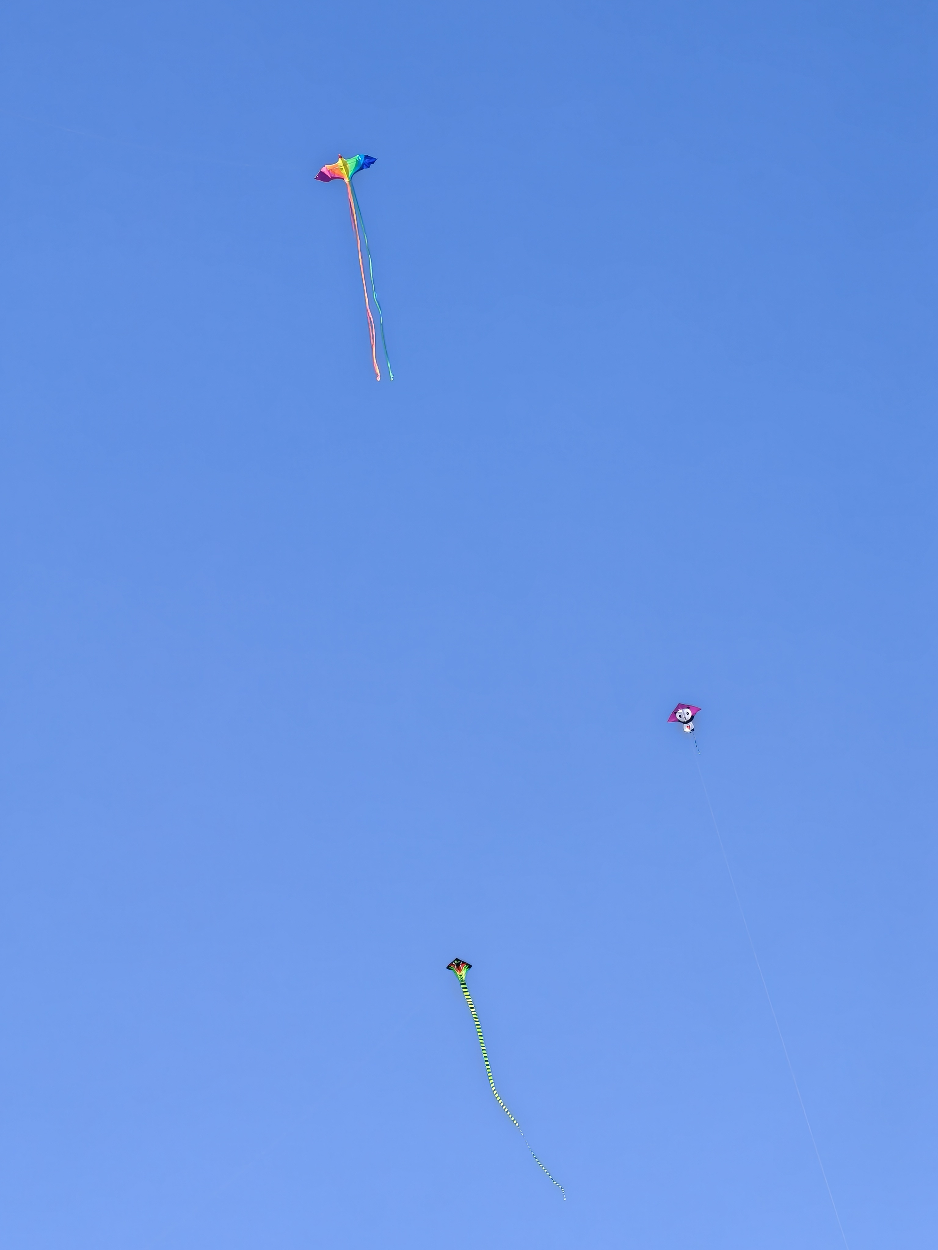 出来逛逛，吃点下饭的