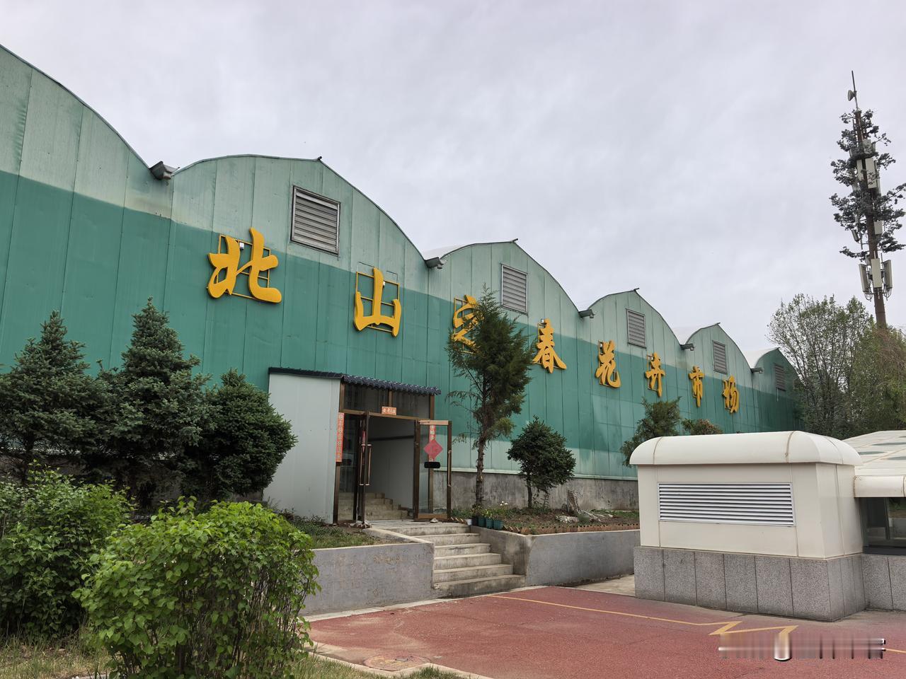 呼和浩特北山之春花卉市场，竟然有一家卖热植龟背的小店，非常小巧精美，价格相较与普