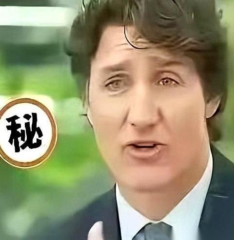 加拿大前总理特鲁多在新加坡媒体的一次访谈中，说出了一句让很多人意外的大实话。
