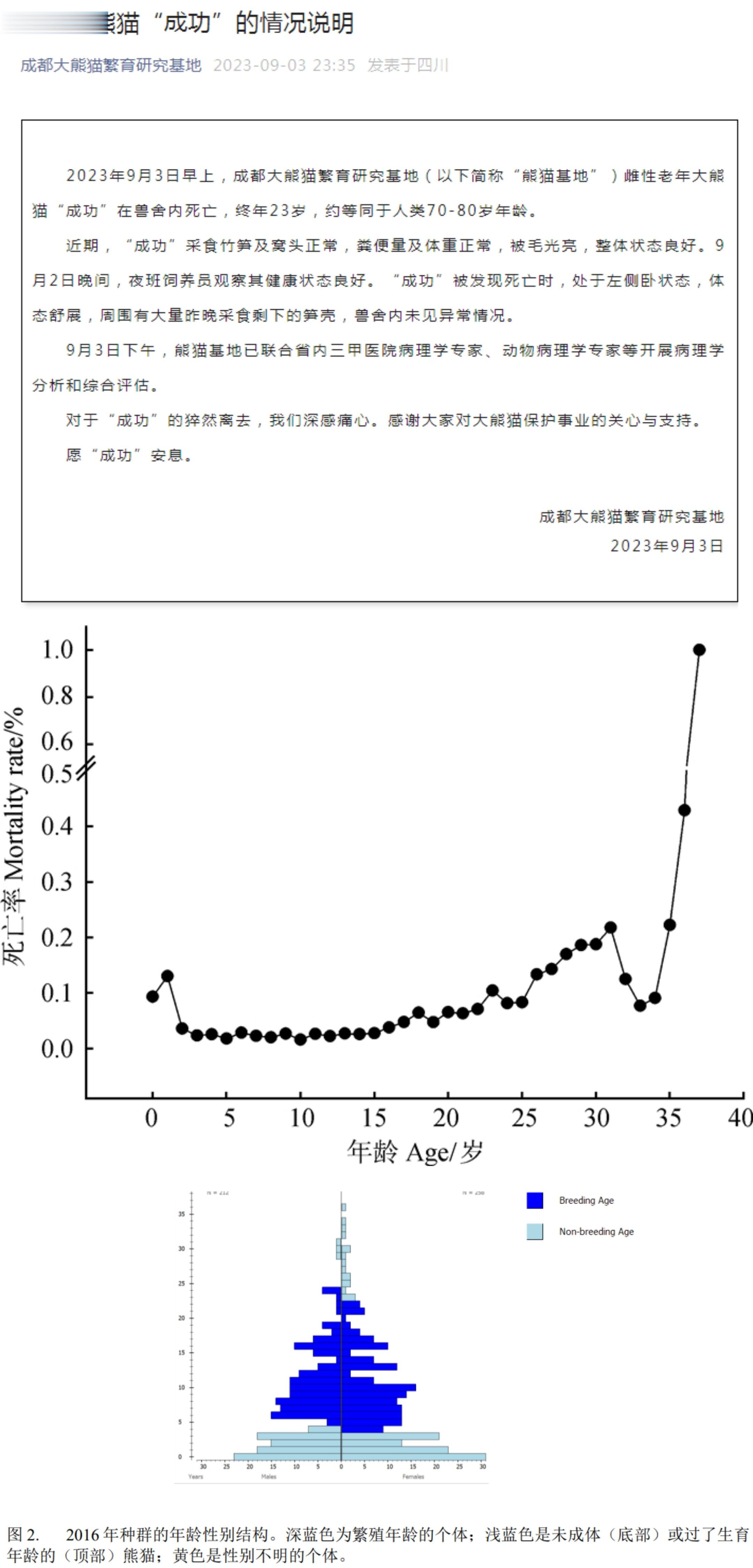 #大熊猫成功死亡#大熊猫，特别是圈养的雌性大熊猫在25岁前死亡率确实较低。所以，