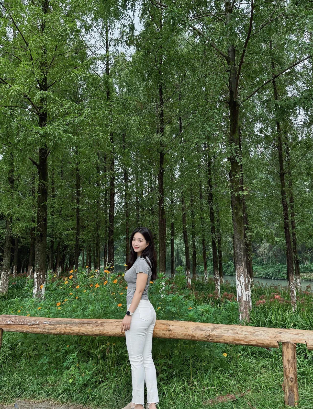 路过一片水杉林，虽然早已立秋，似乎夏天还不愿离去