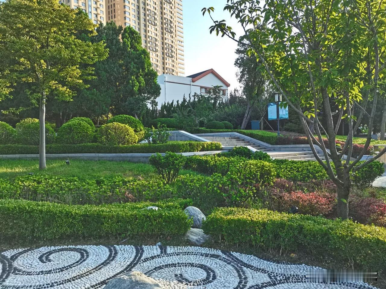 分享星海公园随拍美图，公园内设有儿童游乐园、海上蹦极、摩天轮等娱乐设施，满足不同