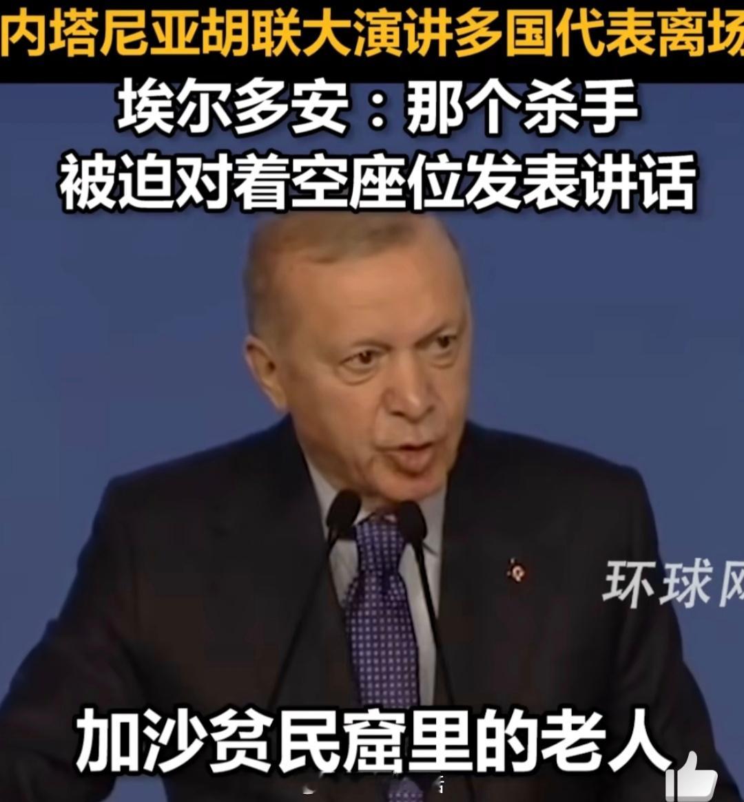 土耳其总统说以总理是杀手埃尔多安“杀手”之评，本质是地缘立场的激烈表达。土耳其既