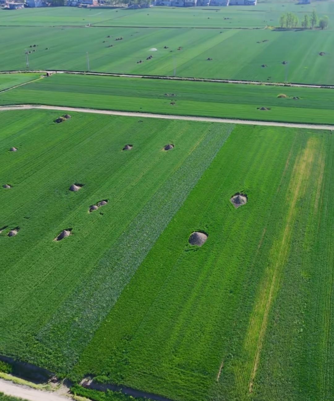 看到这一个图片，一瞬间感慨万千！百年之后一人一个土包，最后都会化为尘土，消失在这