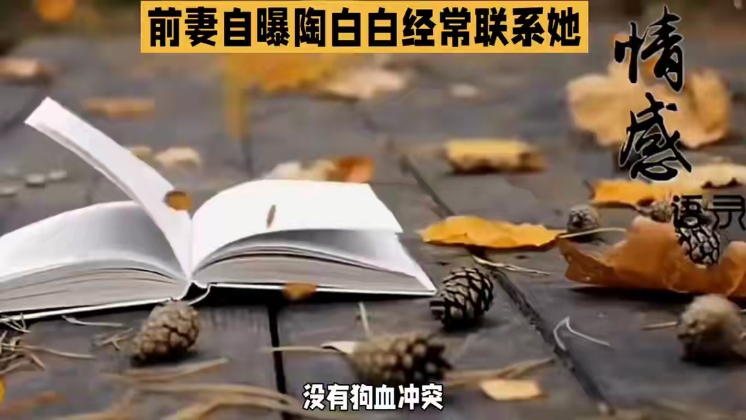 陶白白频繁联系前妻：情感博主的体面，藏在离婚后的分寸里前妻自曝陶白白经常联系她。