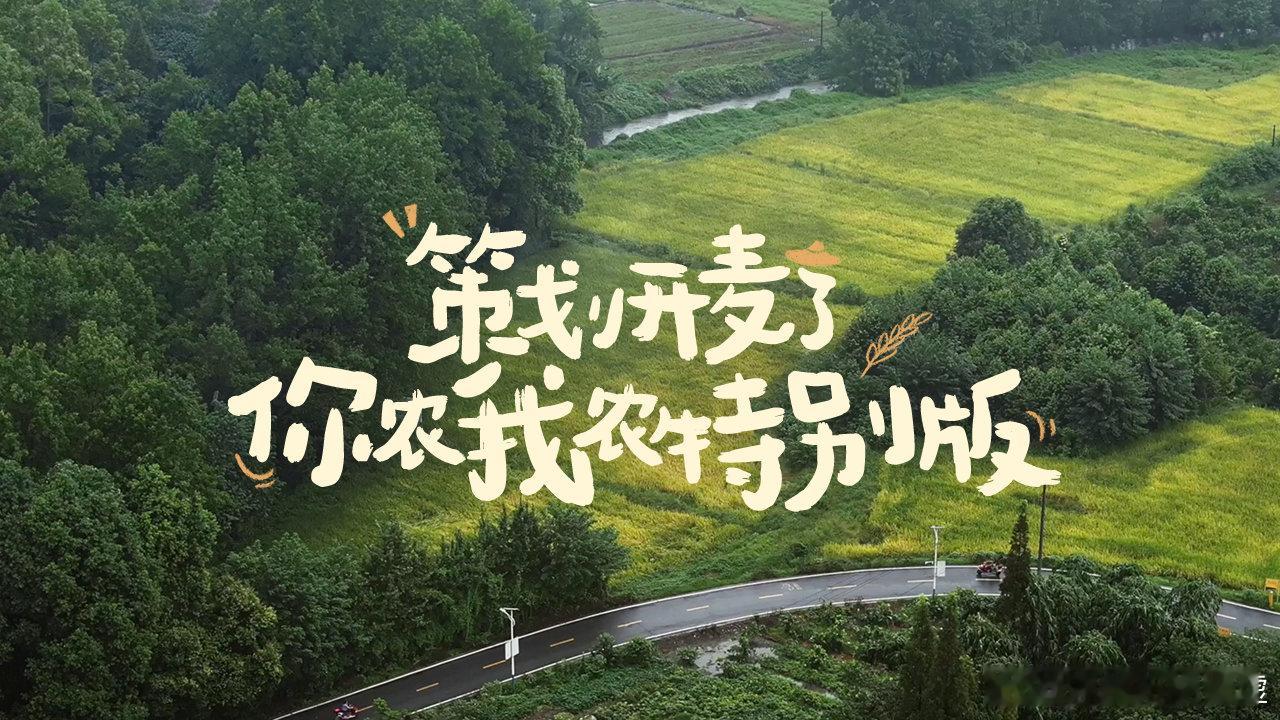 真“官谷”[允悲]原来前几个月前的策划干农活直播，真的种出大米来了啊2333大米