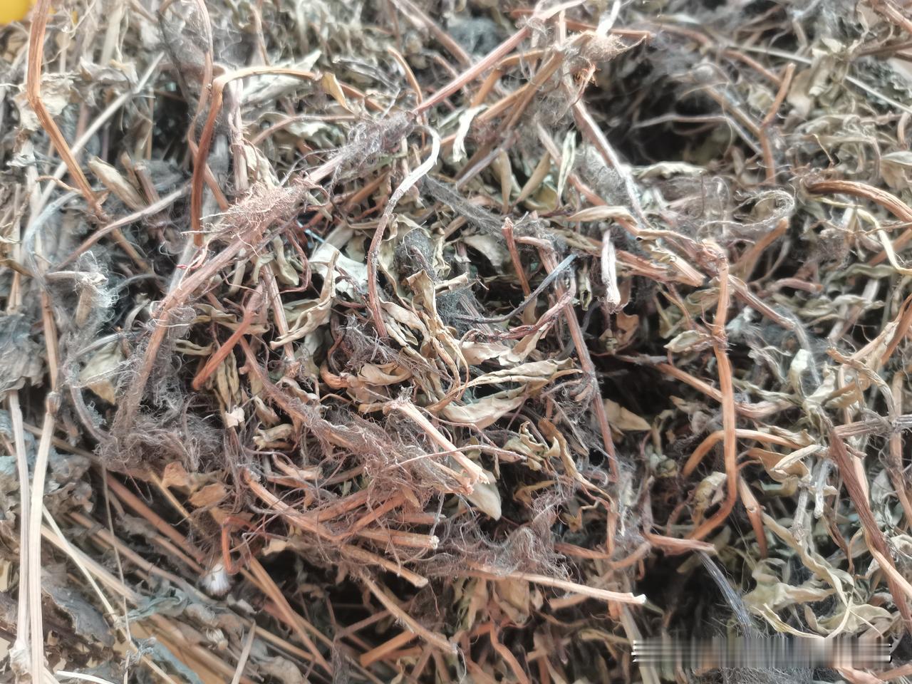 晚上做梦我都能忍，但是大白天的也能做这样无厘头的梦，叔能忍婶不能忍啊！
梦的还那