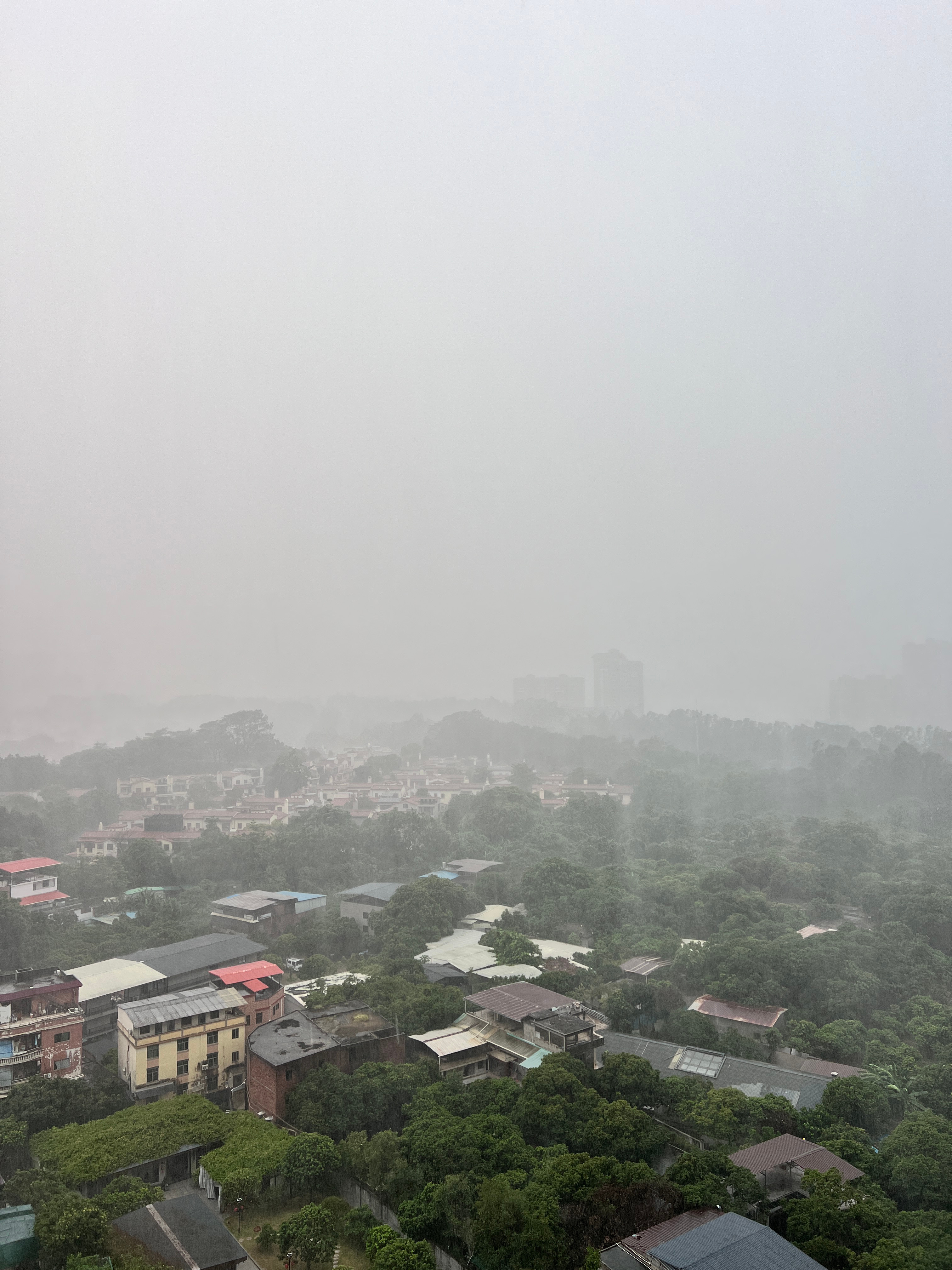 台风红霞将正面袭击广东好大的风 好大的雨 现在 