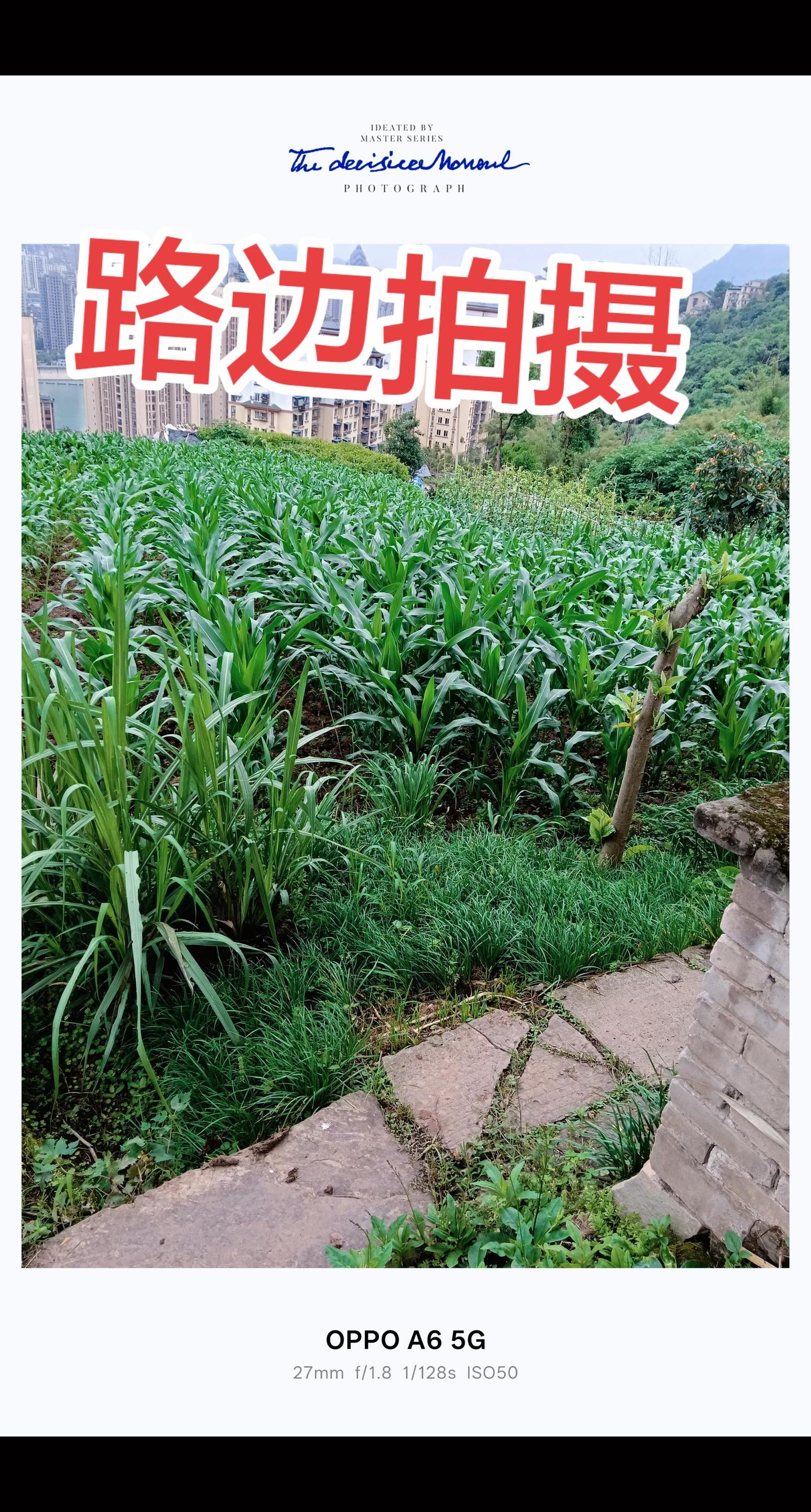 路边拍摄路边拍摄创作中心创作灵感