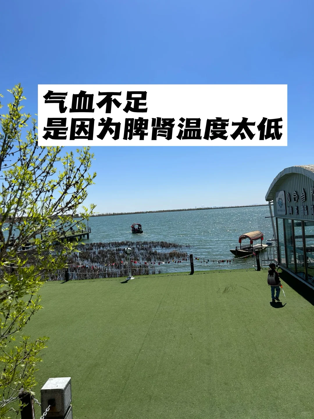 气血不足，是因为脾肾温度太低.
