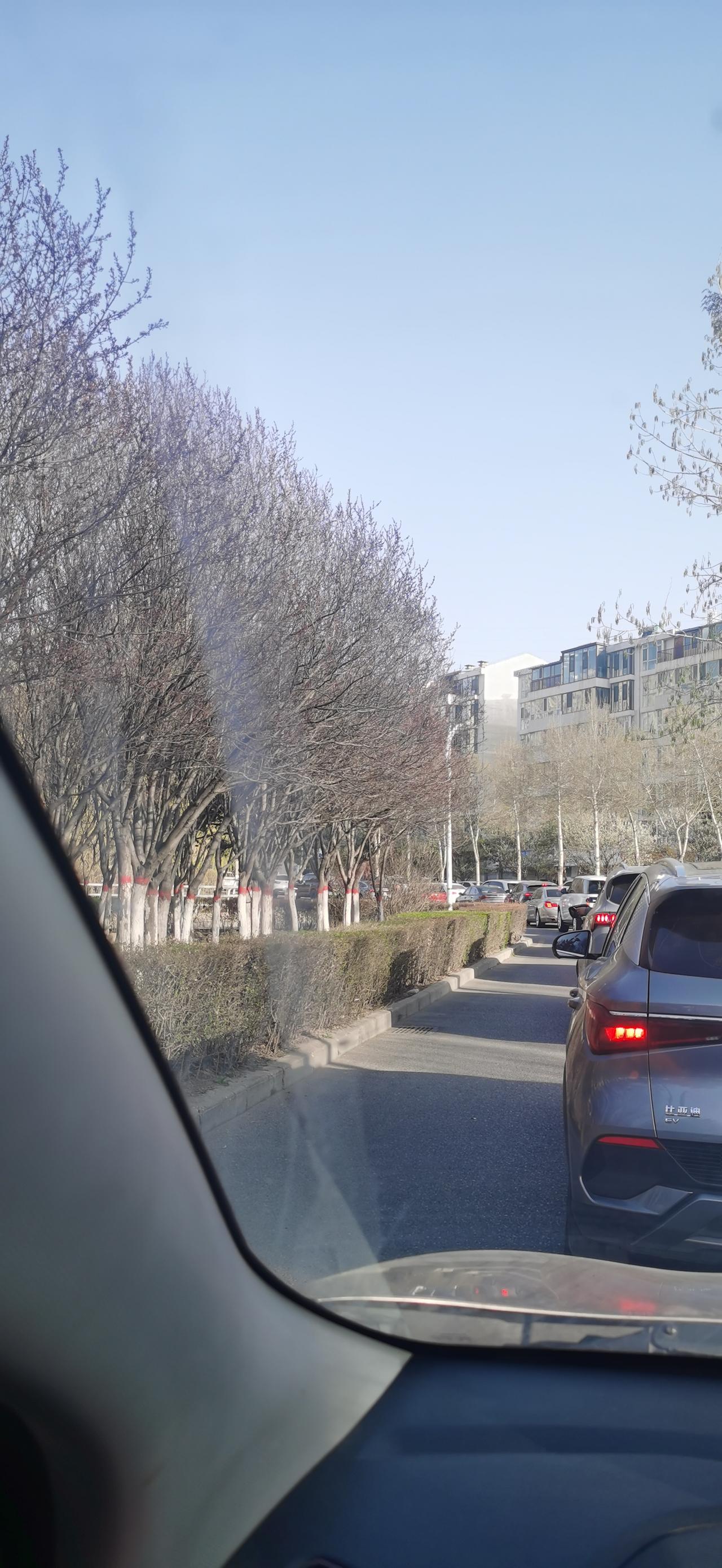 车祸猛于虎，今天早上7点多民小公路，乐都雨润镇羊圈村路段发生一次交通事故，一辆黑