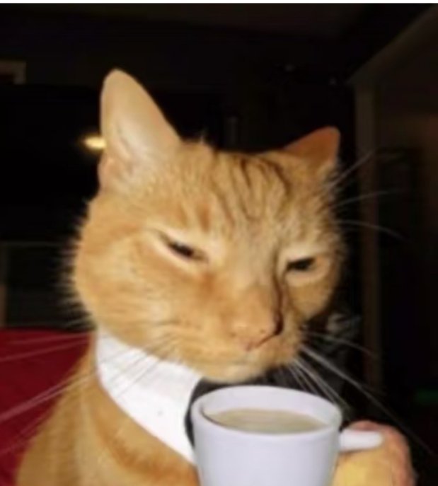 家里三口人有57把雨伞曾经有次我也在家发现了几十把，后来全部装在了后备箱，某一天