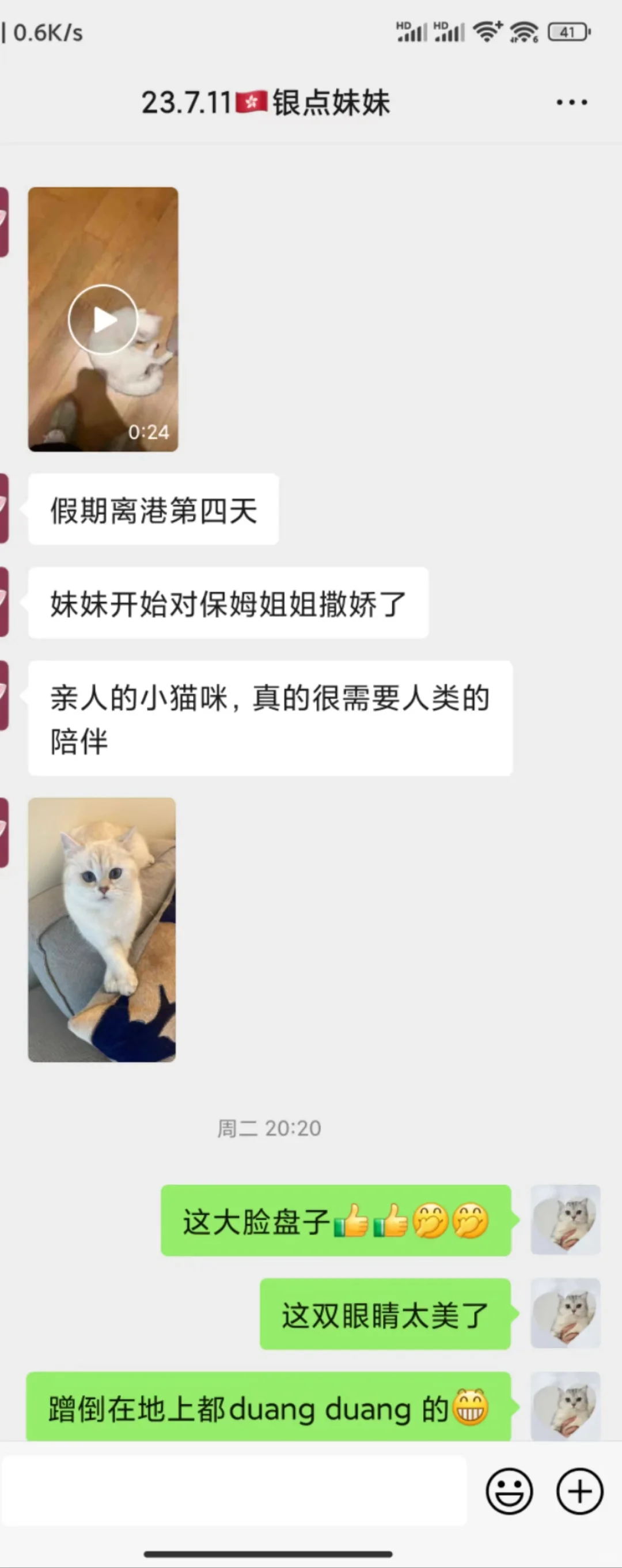 🇭🇰貓貓家長返圖💛黏人的貓貓總是俘獲人心