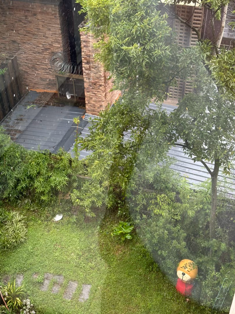 搬来云南后我变成了一名气息观察员 什么时候要下雨立马能判断出来 一早忙活完工作就