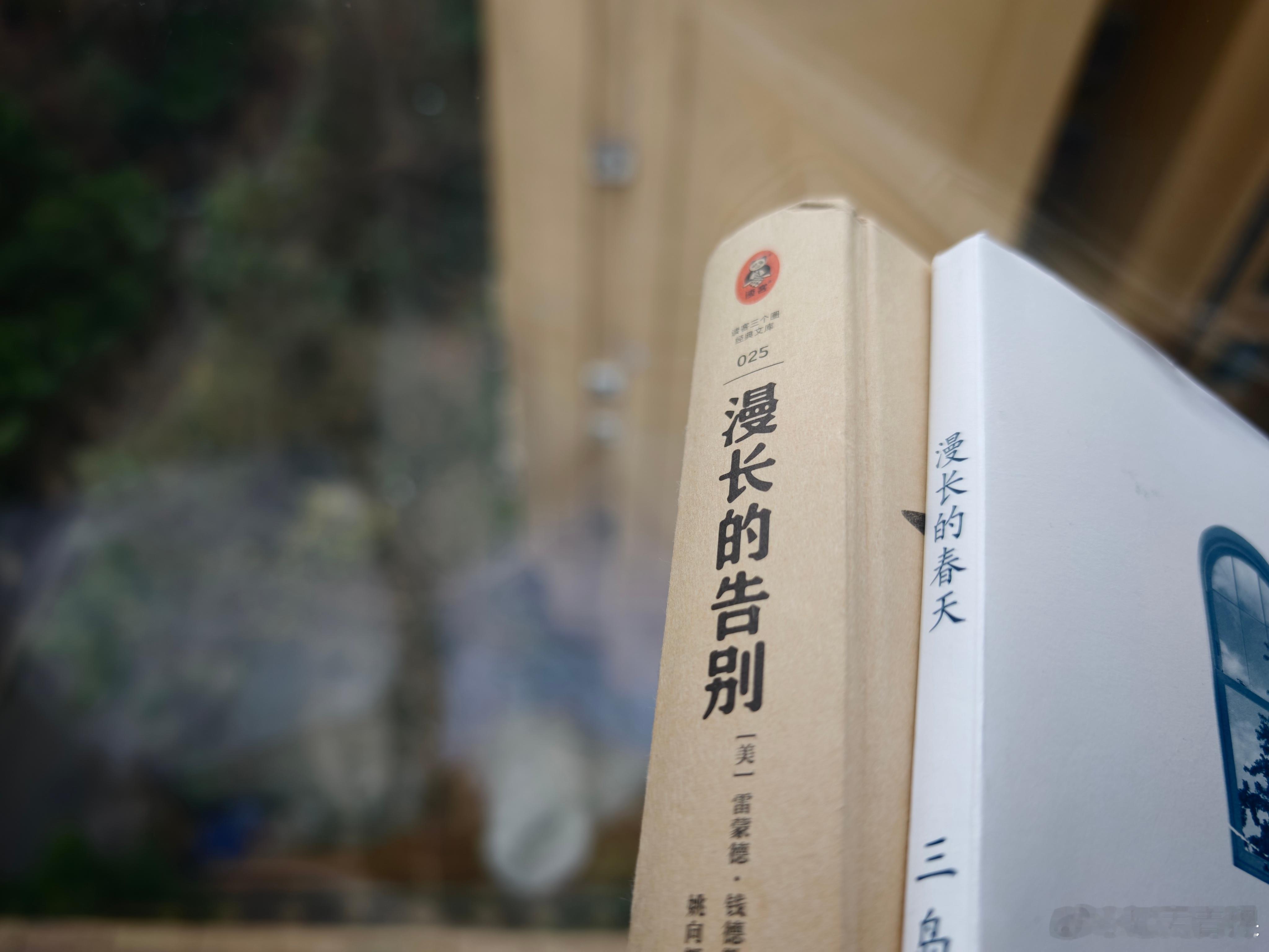 漫长到窗外银杏都掉落了 