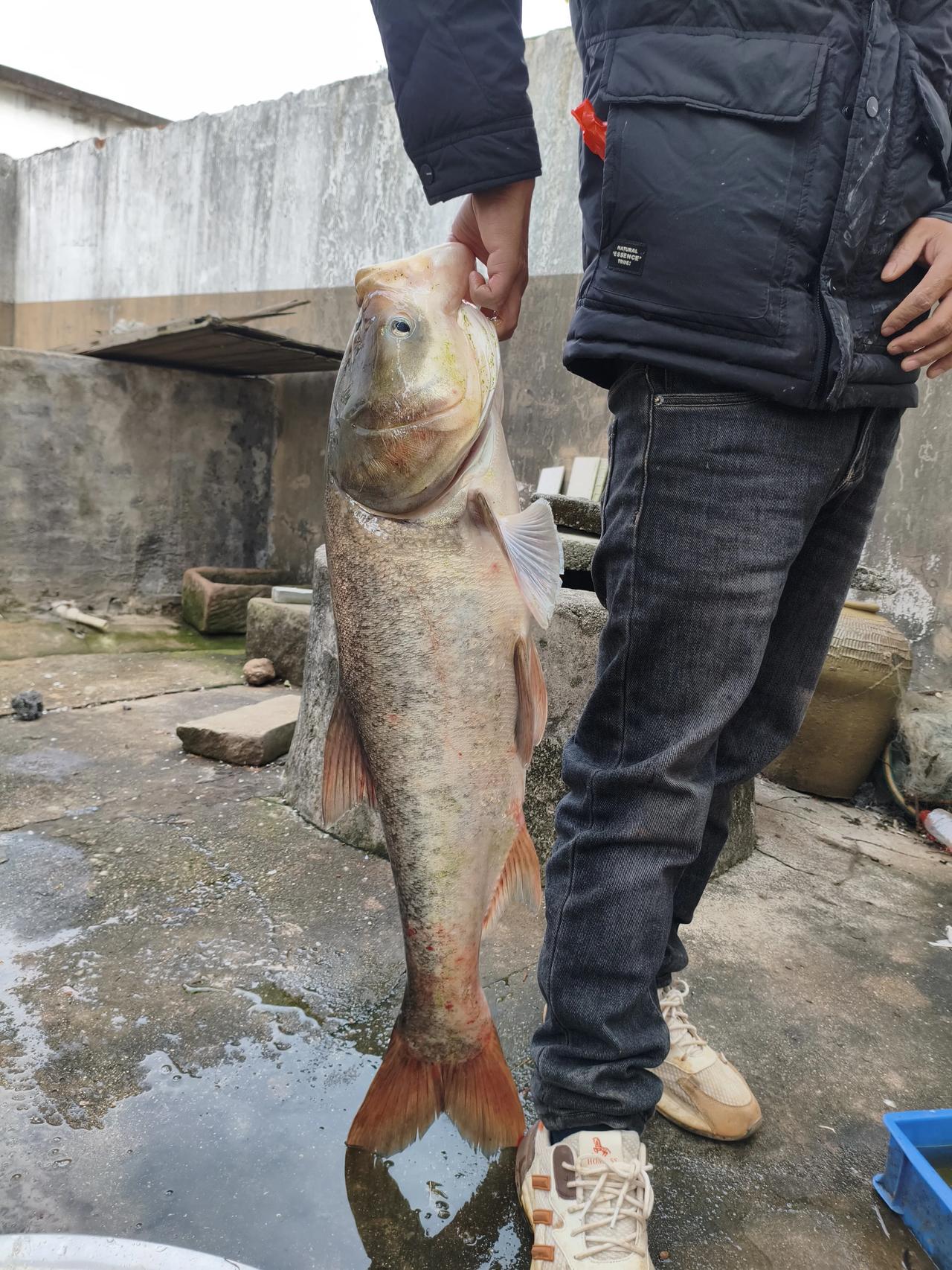 你们看我这条裤子好看吗？