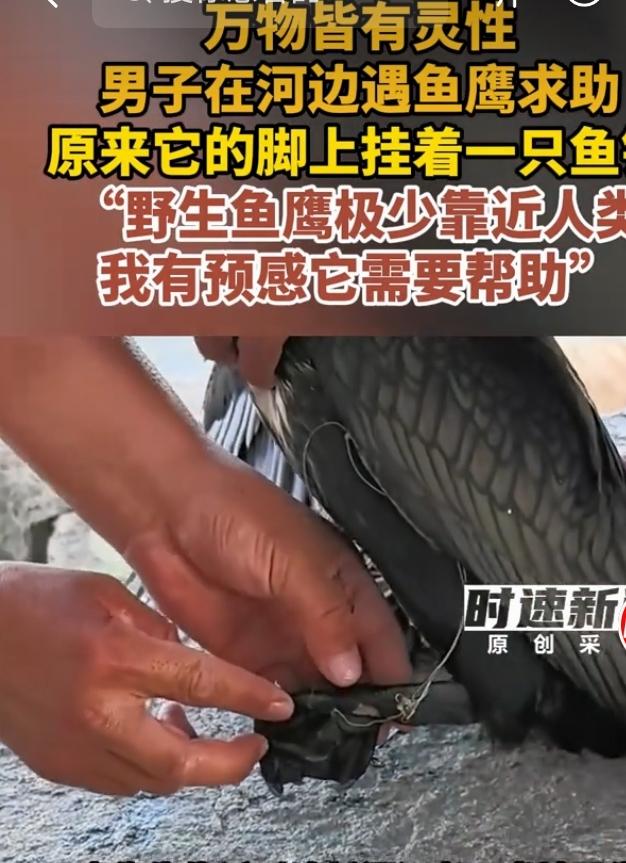 7月21日在新疆阿勒泰富蕴县滨河景区，李先生遇到了一件暖心又揪心的事。他在河边碰