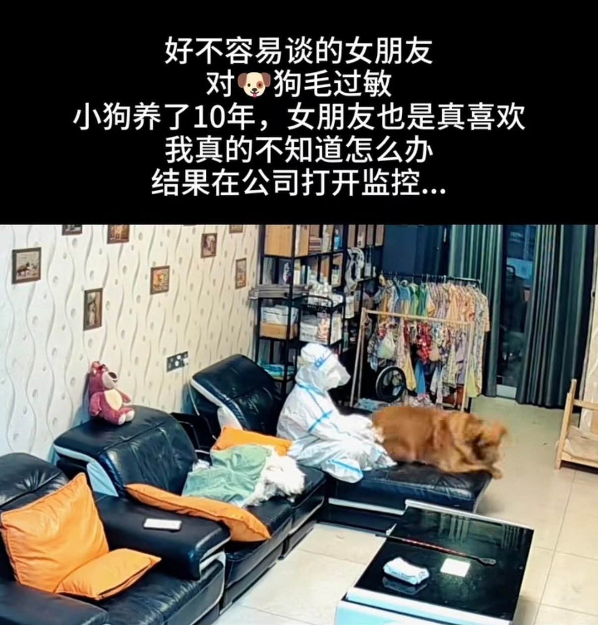 因为她是真的喜欢小狗 