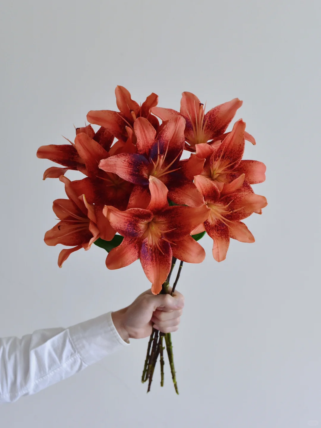 百合·草莓事件