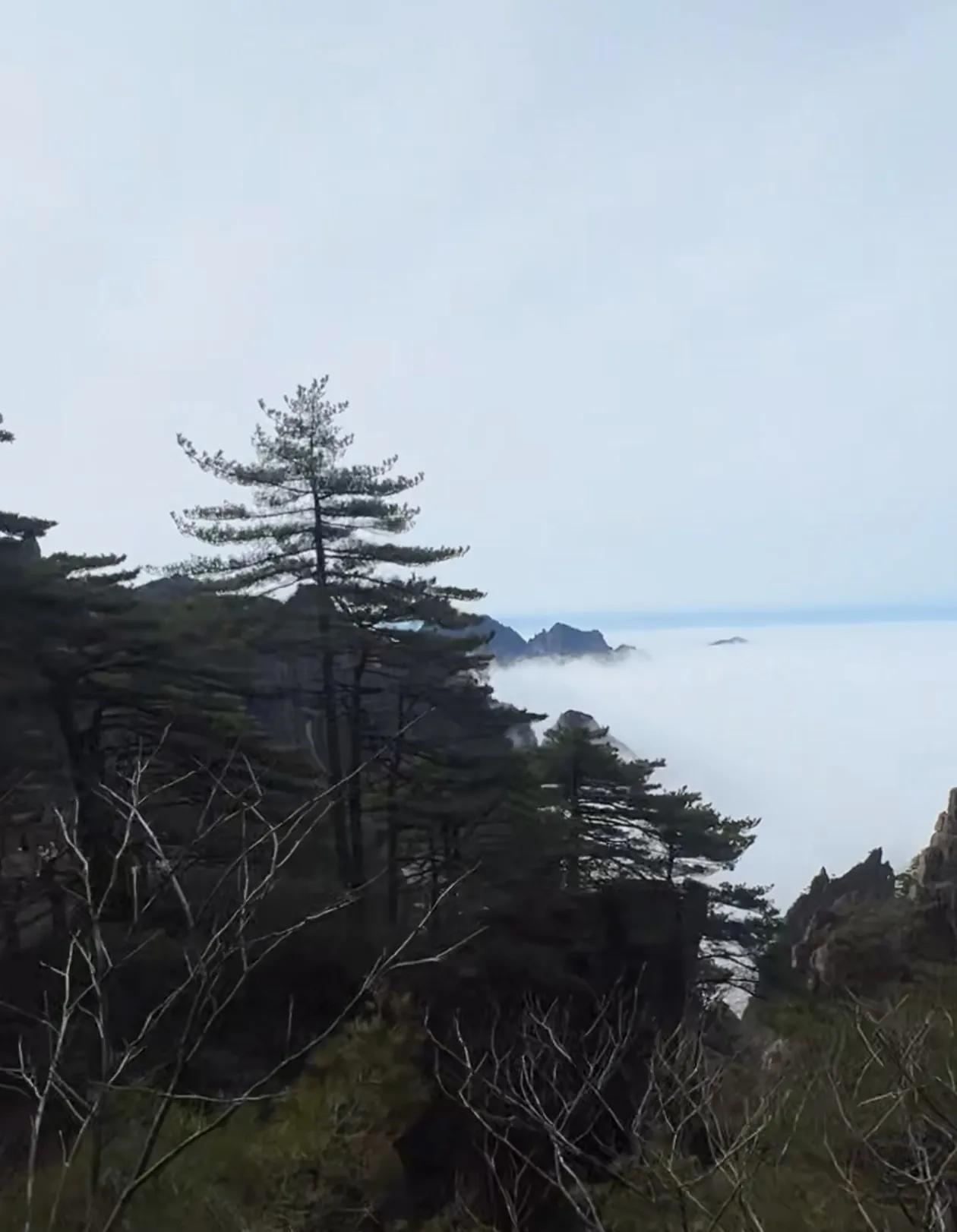 欣赏今日的黄山云海，仿佛进入了仙境。
 
“五岳归来不看山，黄山归来不看岳。”黄