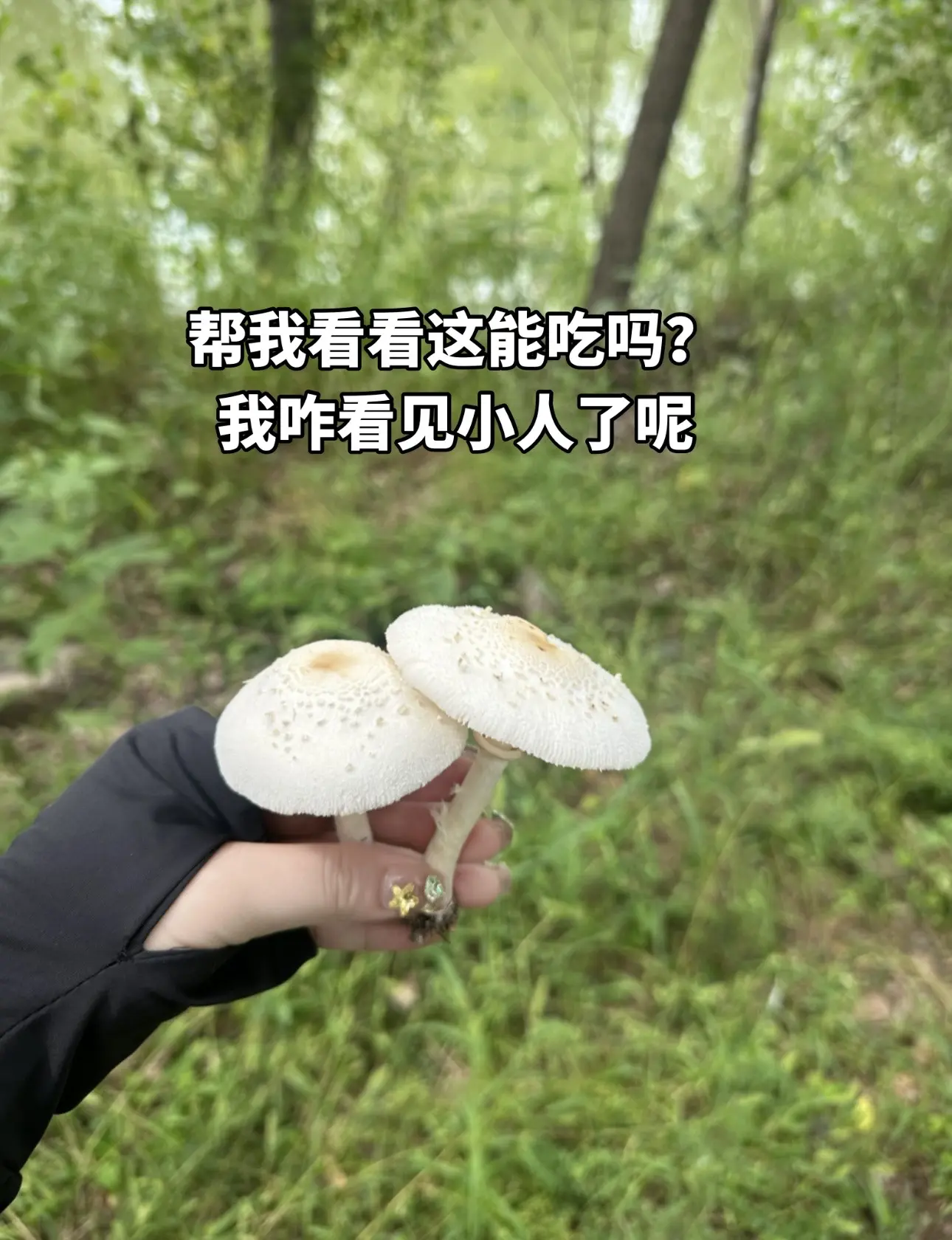 白伞伞白杆杆吃完能行吗。