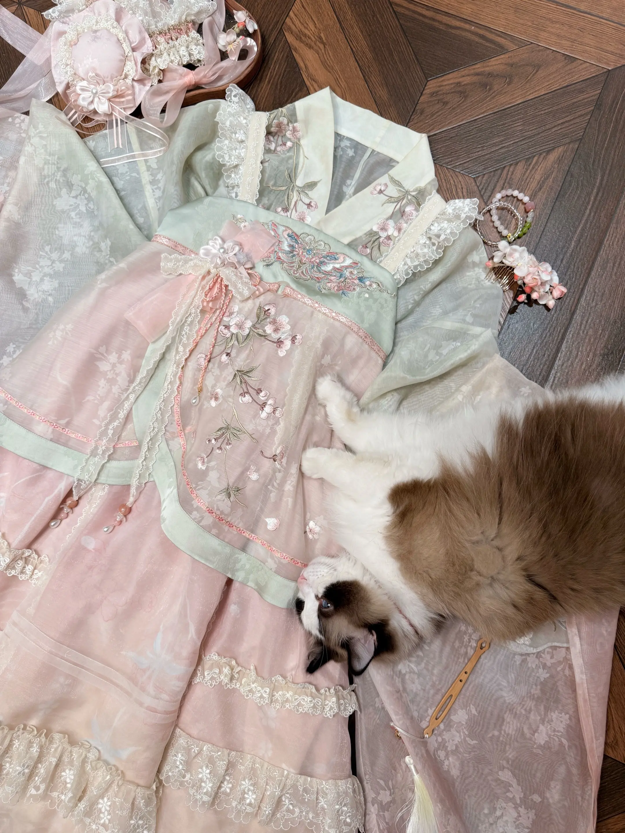 ♡｡.ʚ願望是當一隻幸福的小貓咪ɞ.
