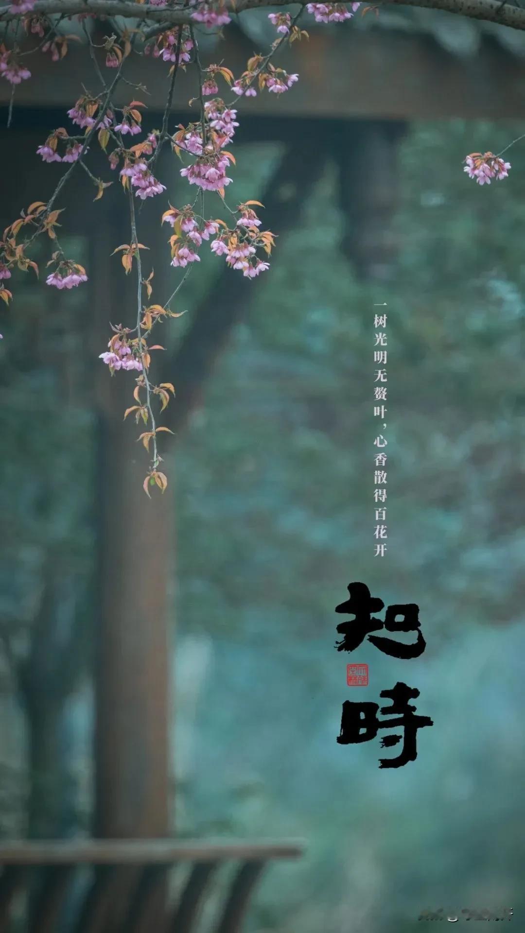 知时

一树光明无赘叶  心香散得百花开