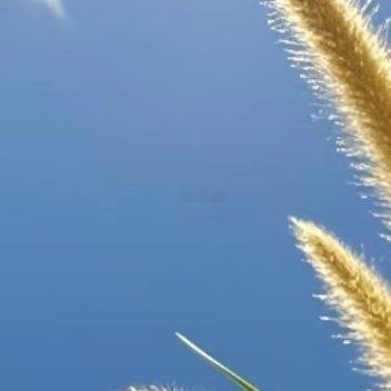 每日一善 每日一善 阳光信用 阳光，是前行的火，点亮我们前行的灯；阳光，是前行的