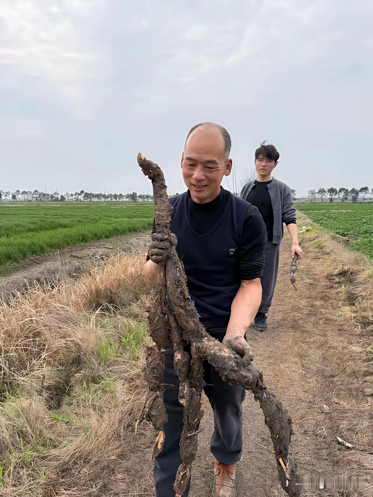 男子手里拿的这个东西是什么？是传说中的何首乌啊，还是山药啊？不认识这东西，看他兴