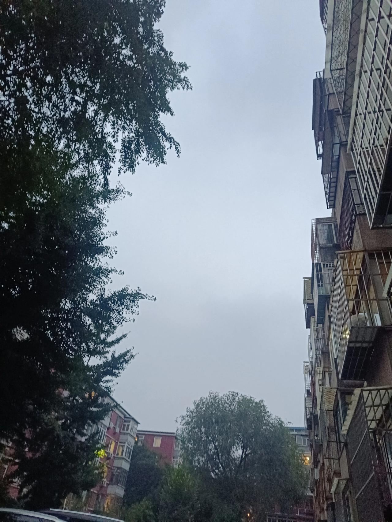 今天又是阴雨绵绵的啊，今年这天气怎么这样呢？下完雨还感觉特别冷，真的是感觉有点不