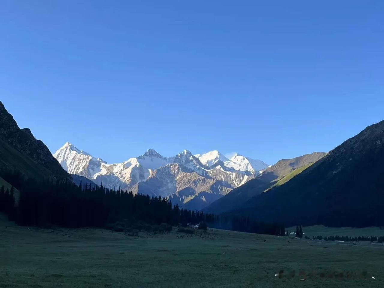 官鹅沟景区是一个国家5A级景区。这里有茫茫无际的原始森林，有高耸入云的高山峡谷，