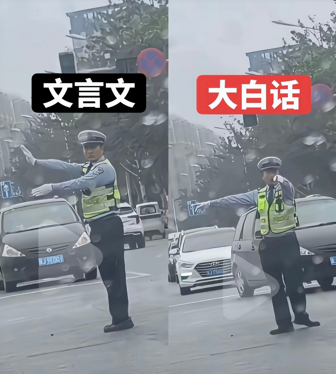 果然还是大白话好使啊哈哈哈哈哈 看不懂交规，但是能看懂脸色 ​​​