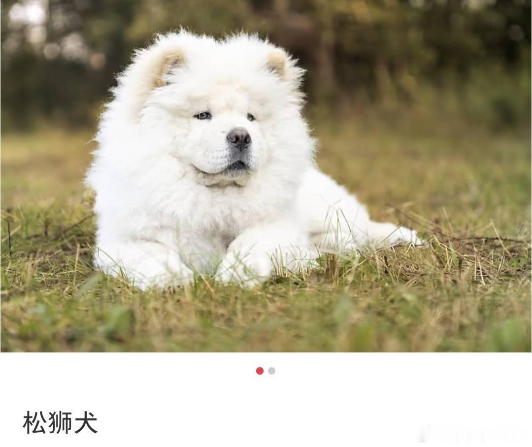 王楚钦 那就全对！ 