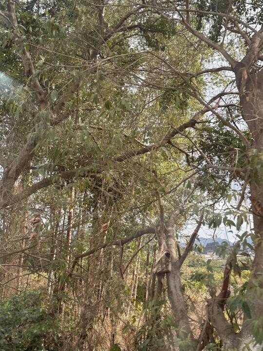 阿奶说:“其实最适合你的人，从来不是那个爱而不得的人，而是看透了你的脾...