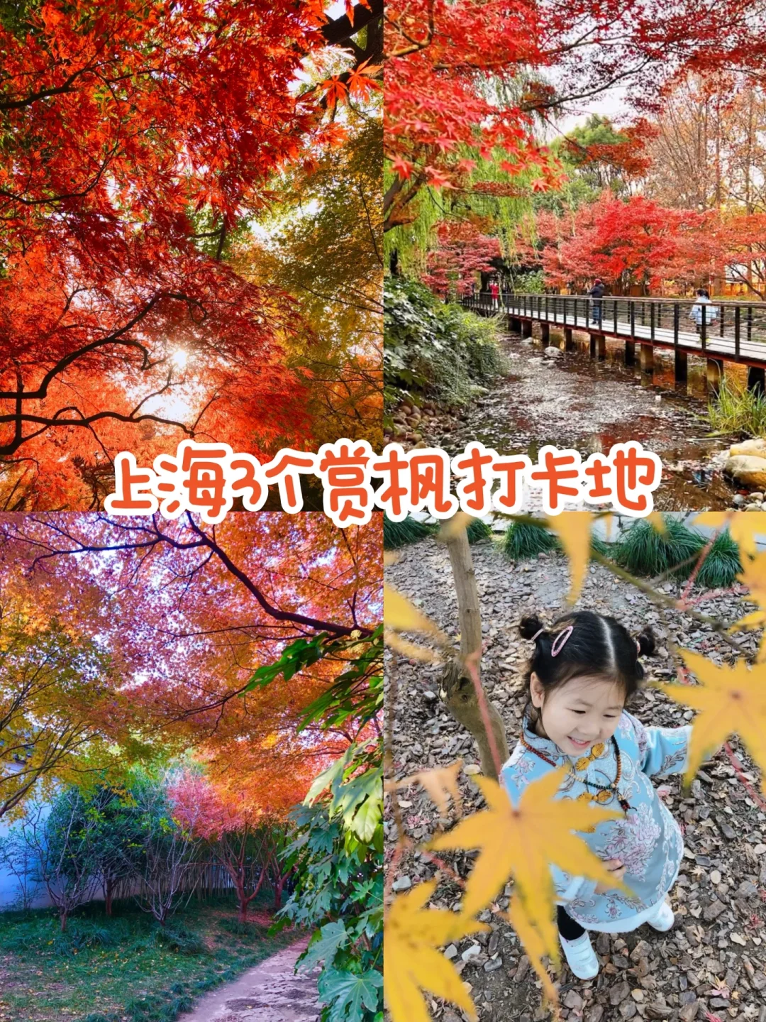 上海3个赏枫打卡地🍁发朋友圈被问爆了‼️